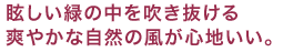 木のぬくもりを体全部で感じる、安らぎの快適空間。