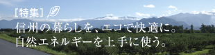 特集